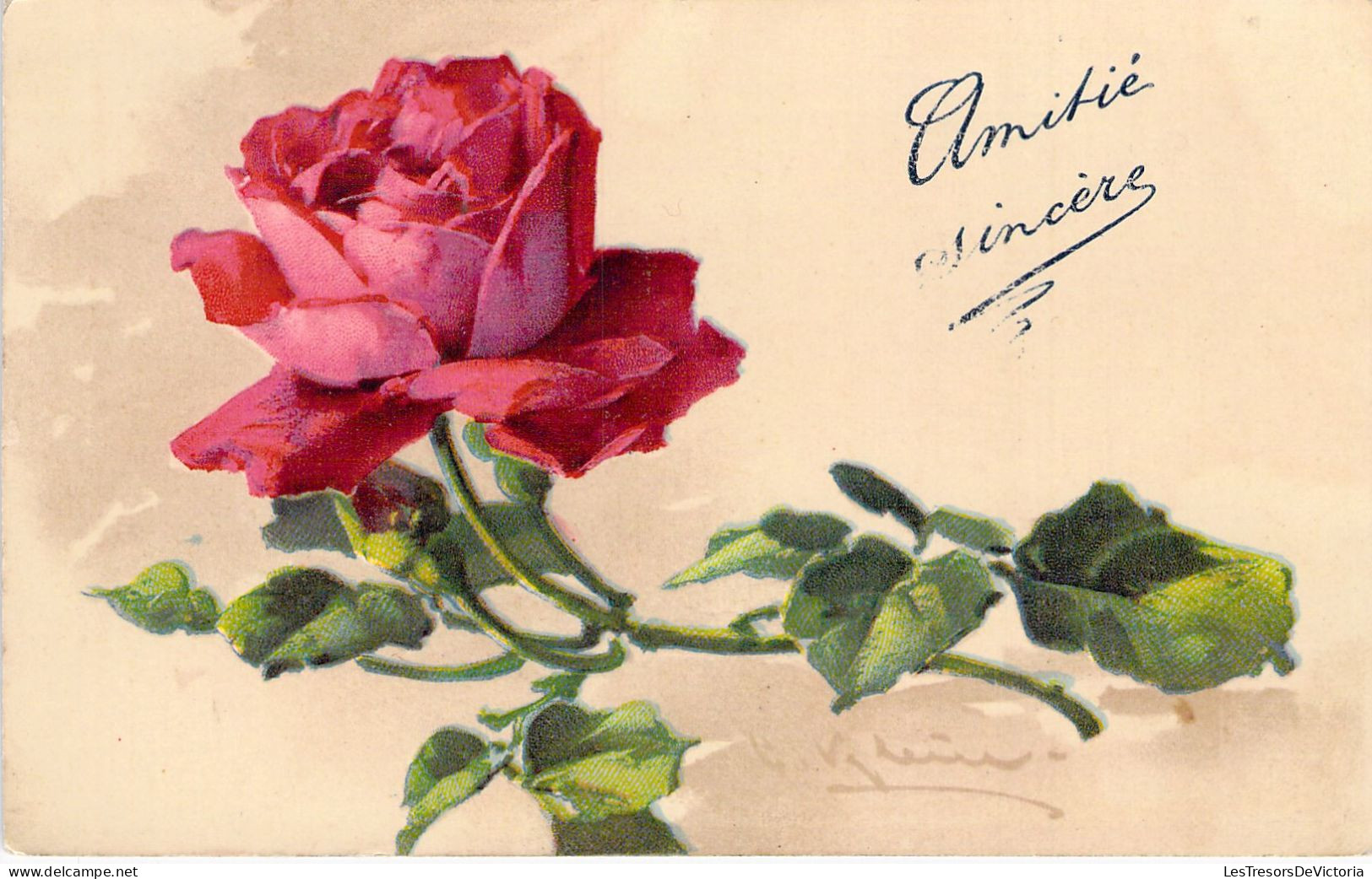 FLEURS - Illustration Non Signée - Roses - Amitié Sincère - Carte Postale Ancienne - Flowers