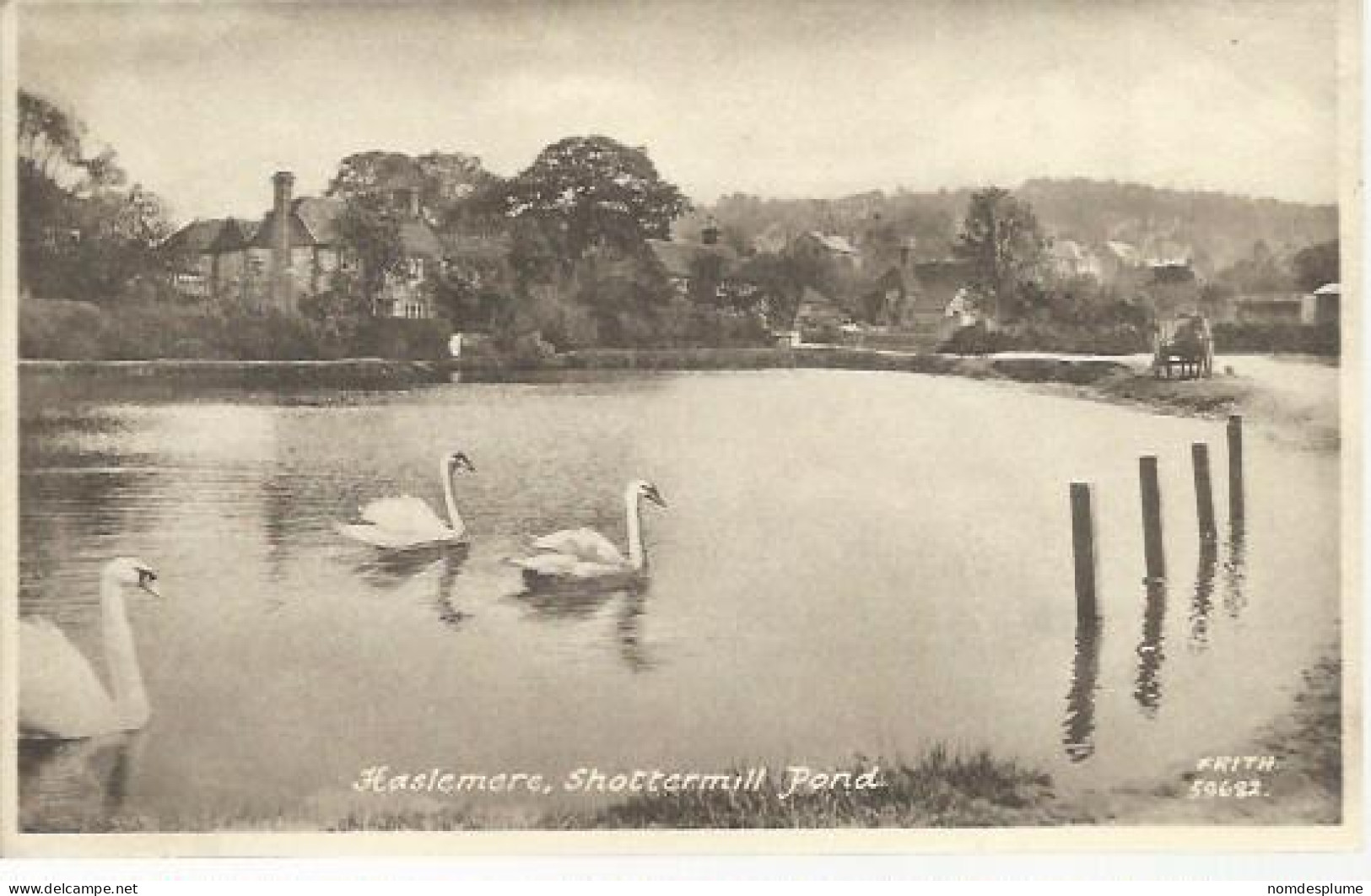 22478) GB UK  Haslemere Shottermill Pond By Frith - Surrey