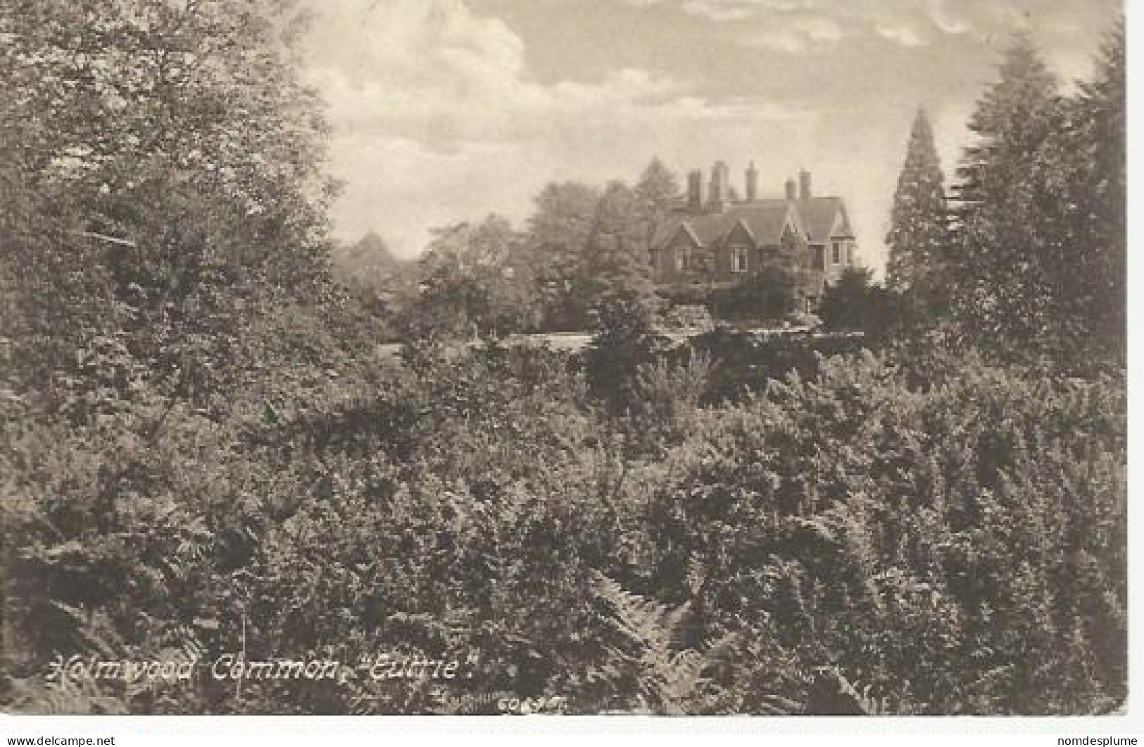 22480) GB UK Holmwood Common Eutrie House By Frith's Series Dorking Postmark - Surrey