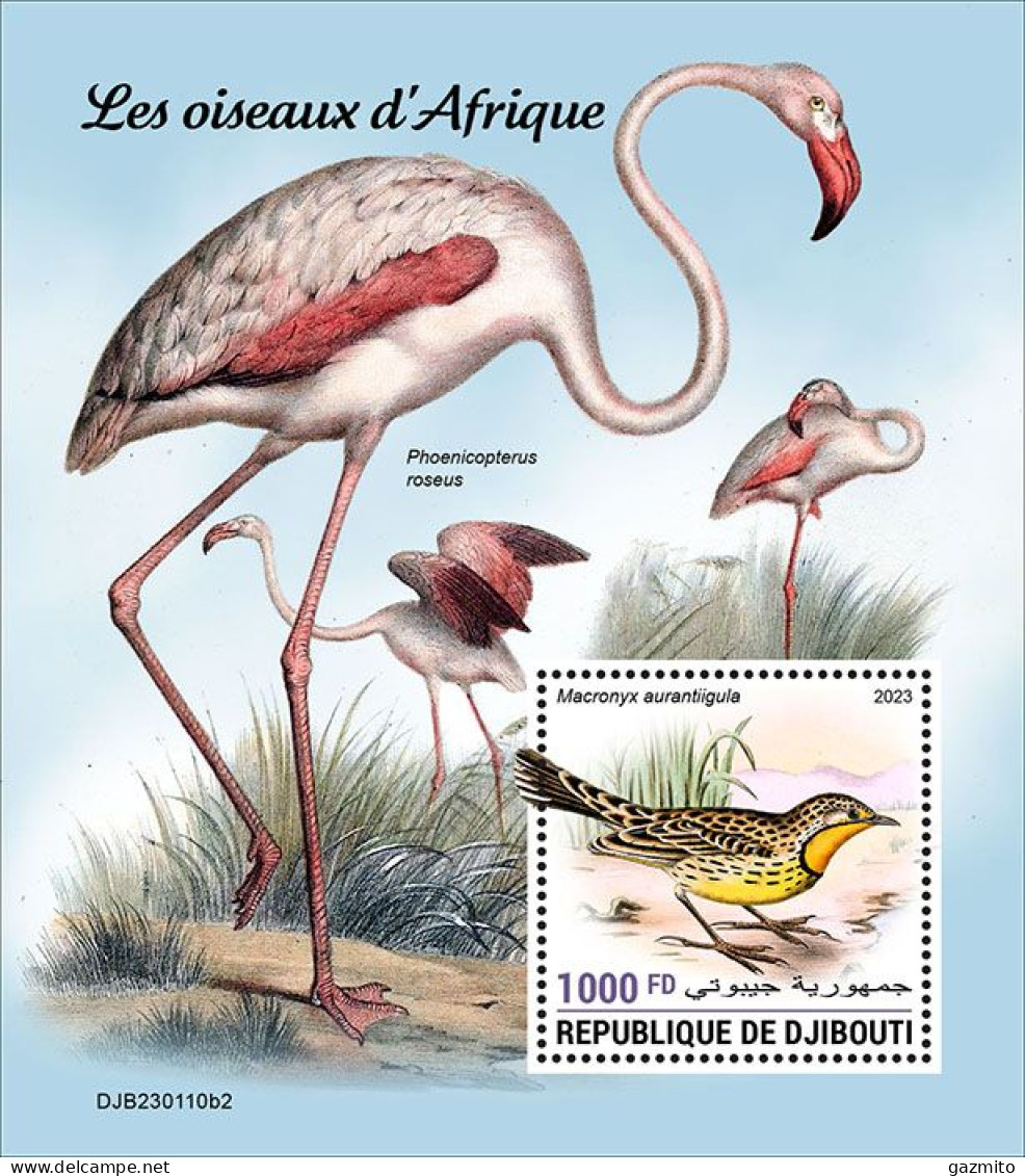 Djibouti 2023, Animals, Birds Of Africa, Flamingo BF - Fenicotteri