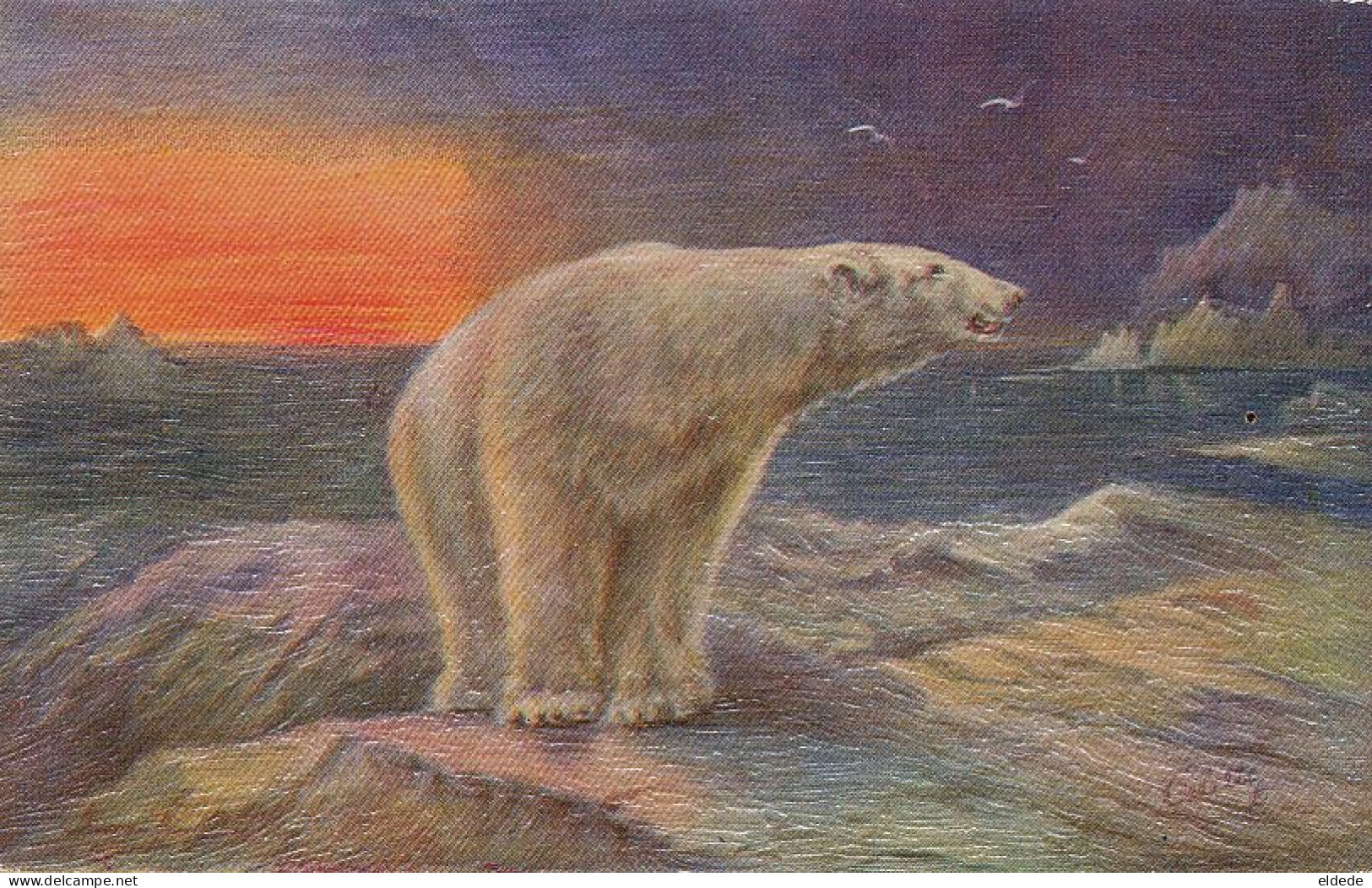 Polar Bear White Bear Arctic  Oilfacsim Tuck Ours Blanc Carte Simili Peinture - Greenland