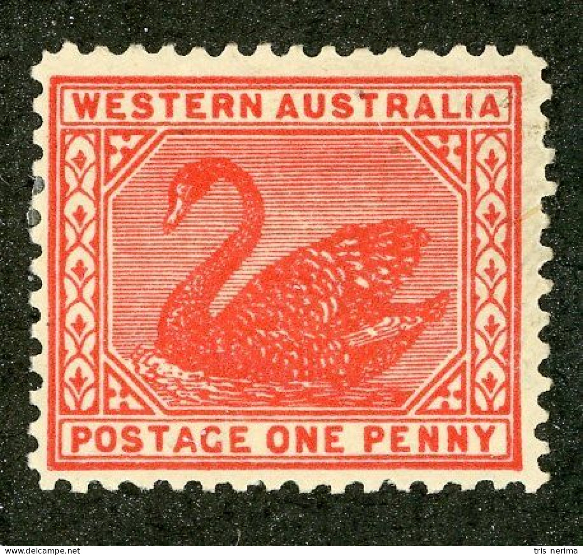 5148 BCx W. Australia 1905 Scott 90 M* (Lower Bids 20% Off) - Nuevos