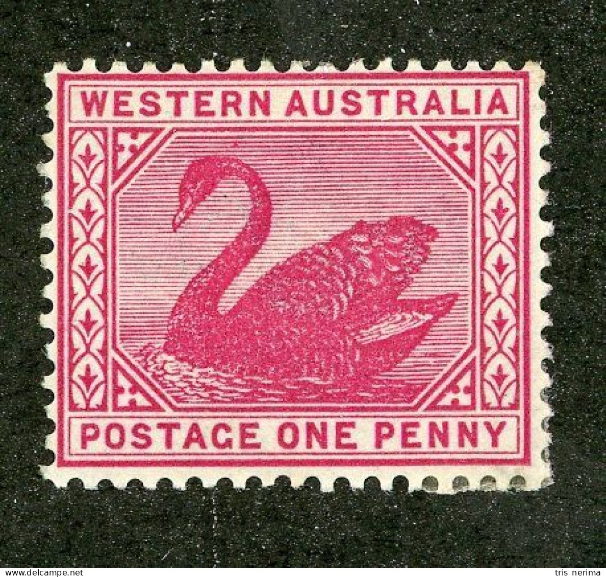 5149 BCx W. Australia 1899 Scott 73 M* (Lower Bids 20% Off) - Ongebruikt