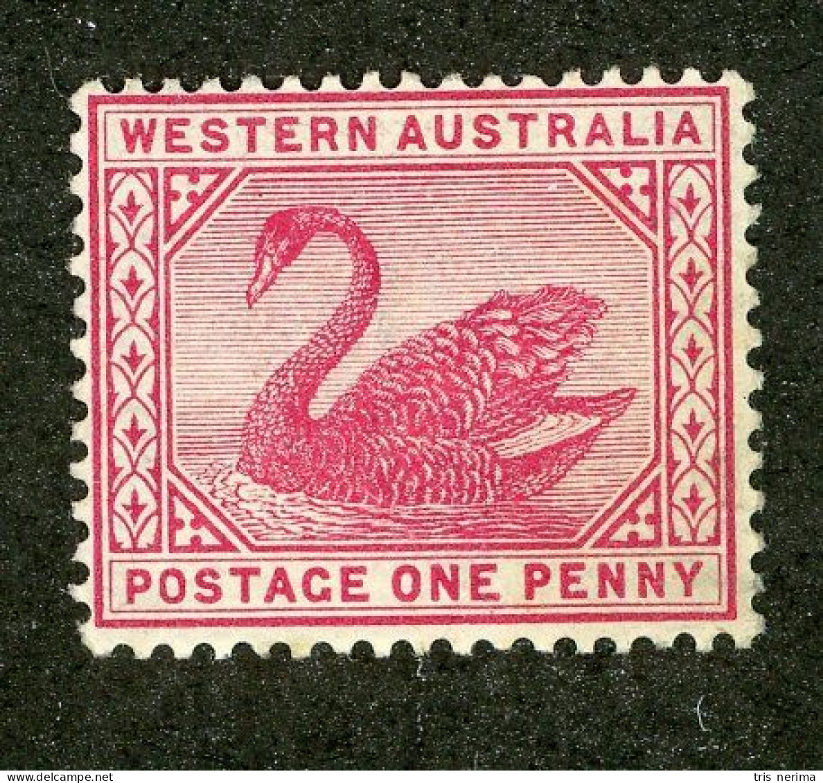 5151 BCx W. Australia 1899 Scott 73 M* (Lower Bids 20% Off) - Mint Stamps