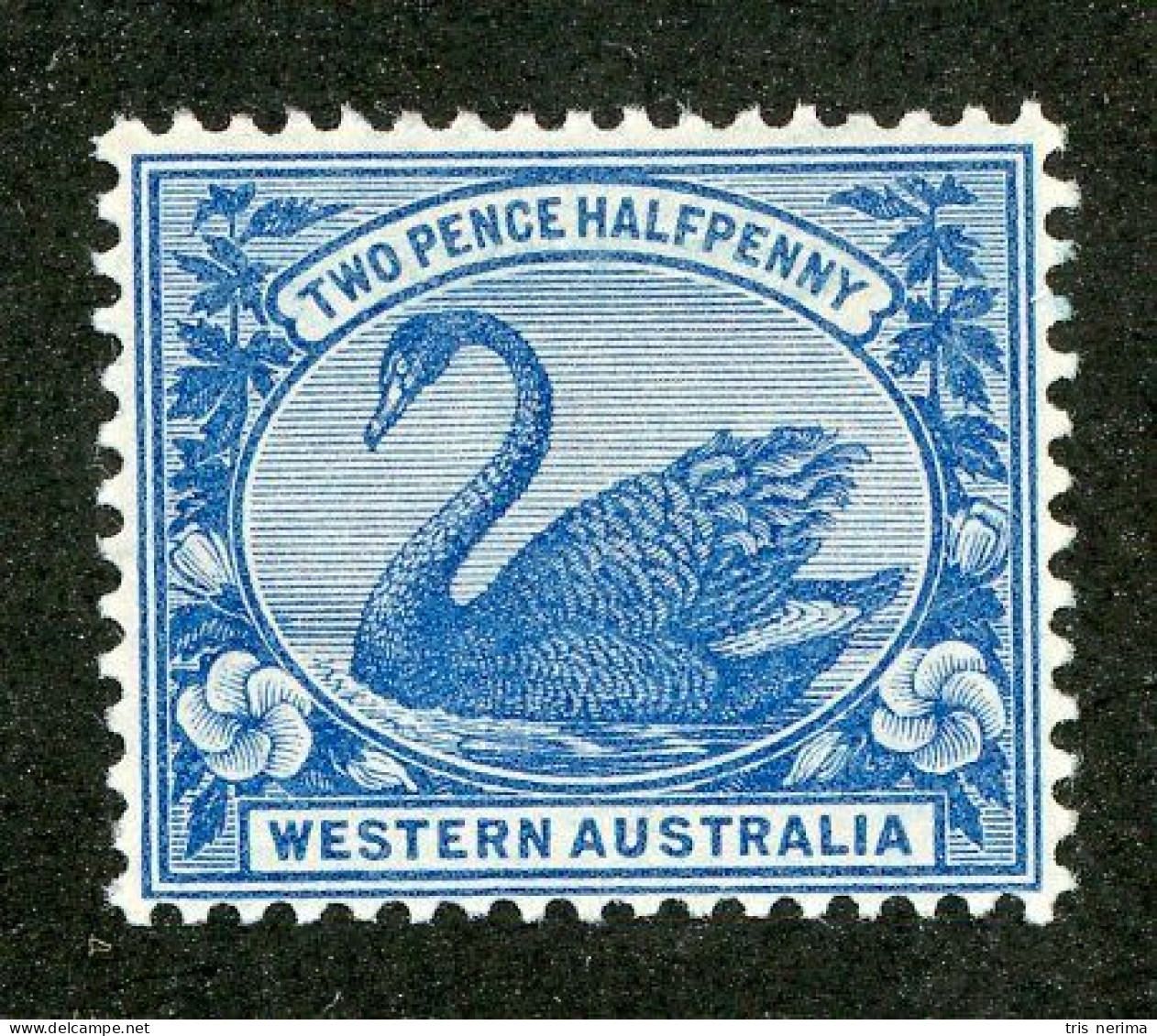 5154 BCx W. Australia 1899 Scott 75 M* (Lower Bids 20% Off) - Mint Stamps