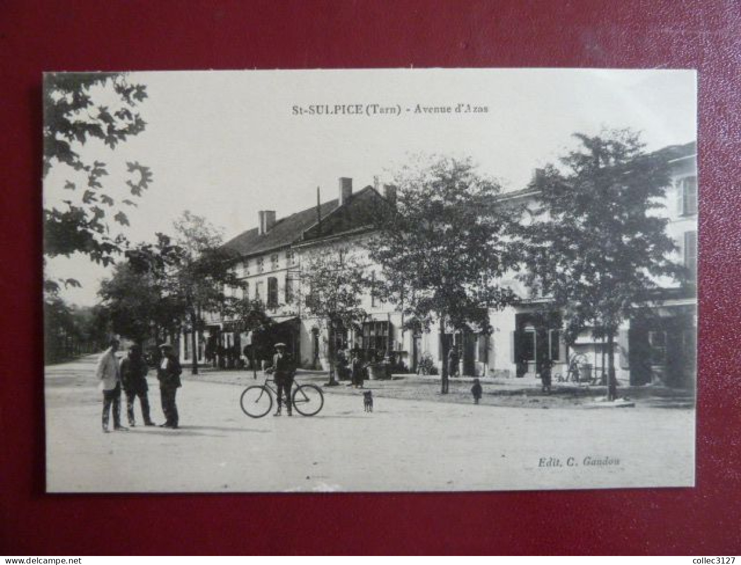 SL2 - 81 - St Sulpice - Avenue D'Azas - Edition C. Gaudou - Saint Sulpice