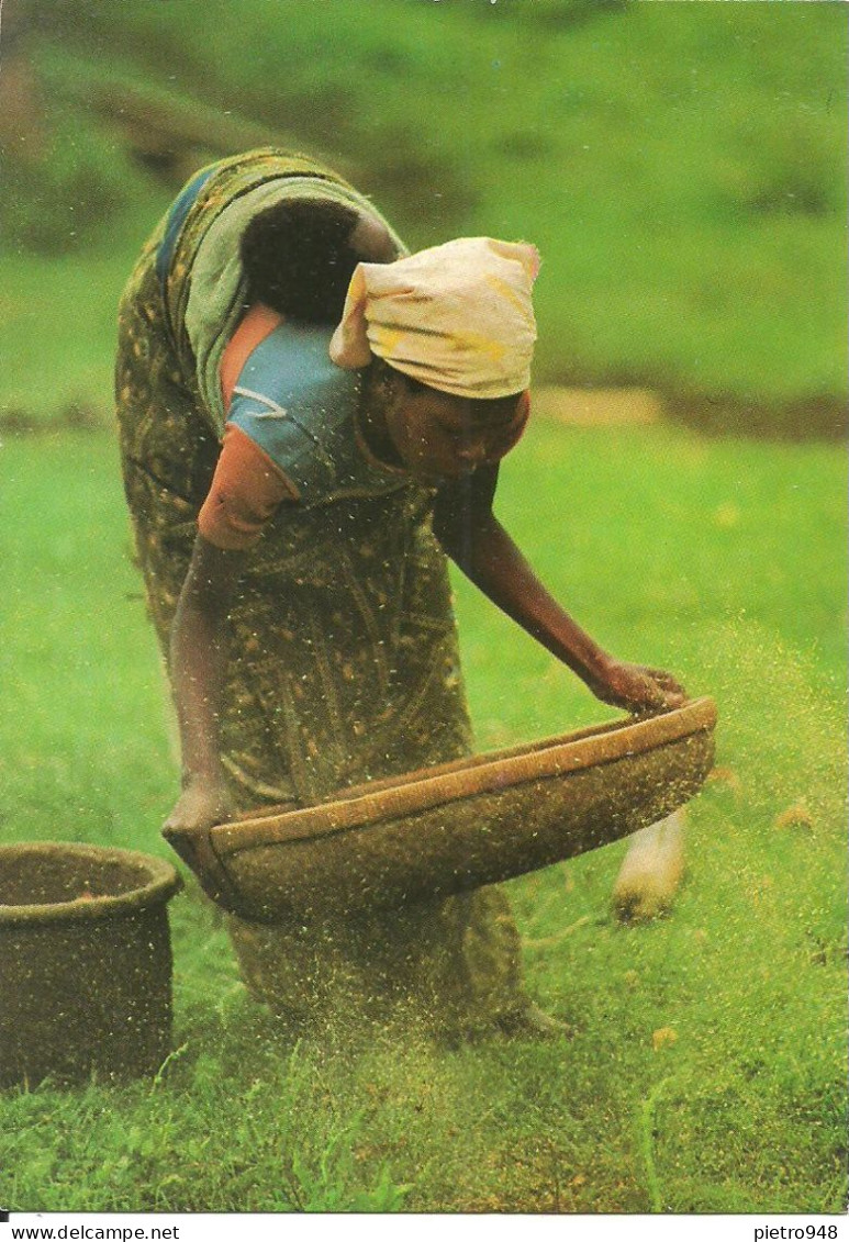 Zaire (Repubblica Democratica Del Congo) Folclore, Folklore - Pointe-Noire