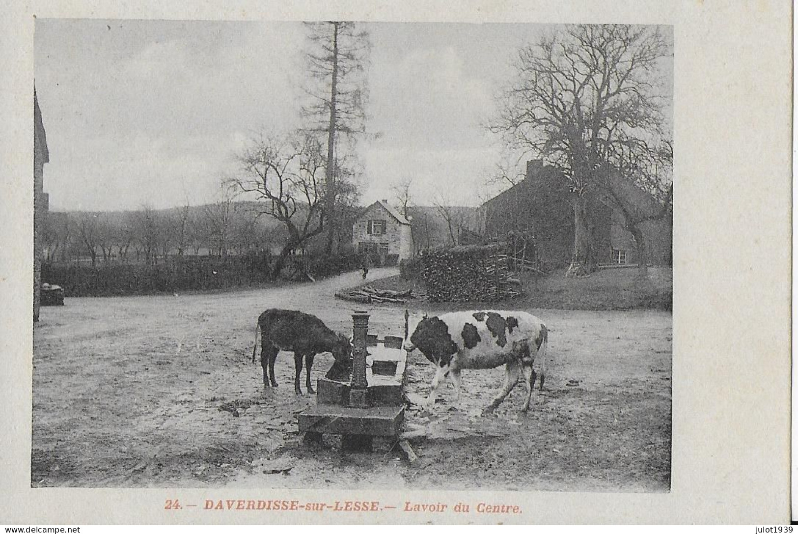 DAVERDISSE ..-- SCENE CHAMPETRE . LAVOIR Du Centre . Vaches à L ' Abreuvoir !! - Daverdisse