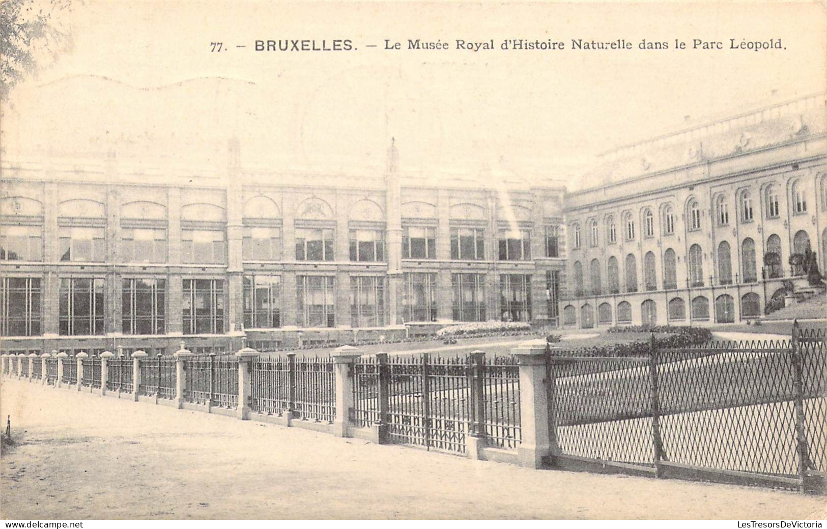 BELGIQUE - BRUXELLES - Le Musée Royal D'Histoire Naturelle Dans Le Parc Léopold - Carte Postale Ancienne - Autres & Non Classés