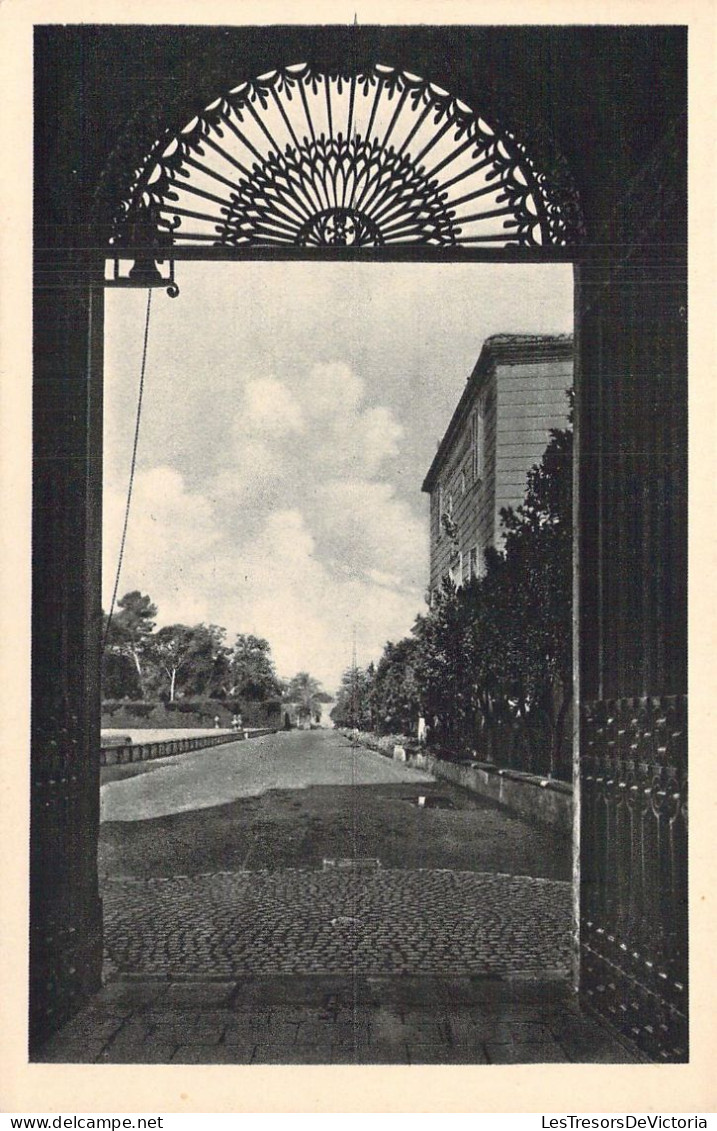 VATICAN - Giardini - Viale Della Zitella - Carte Postale Ancienne - Vatican