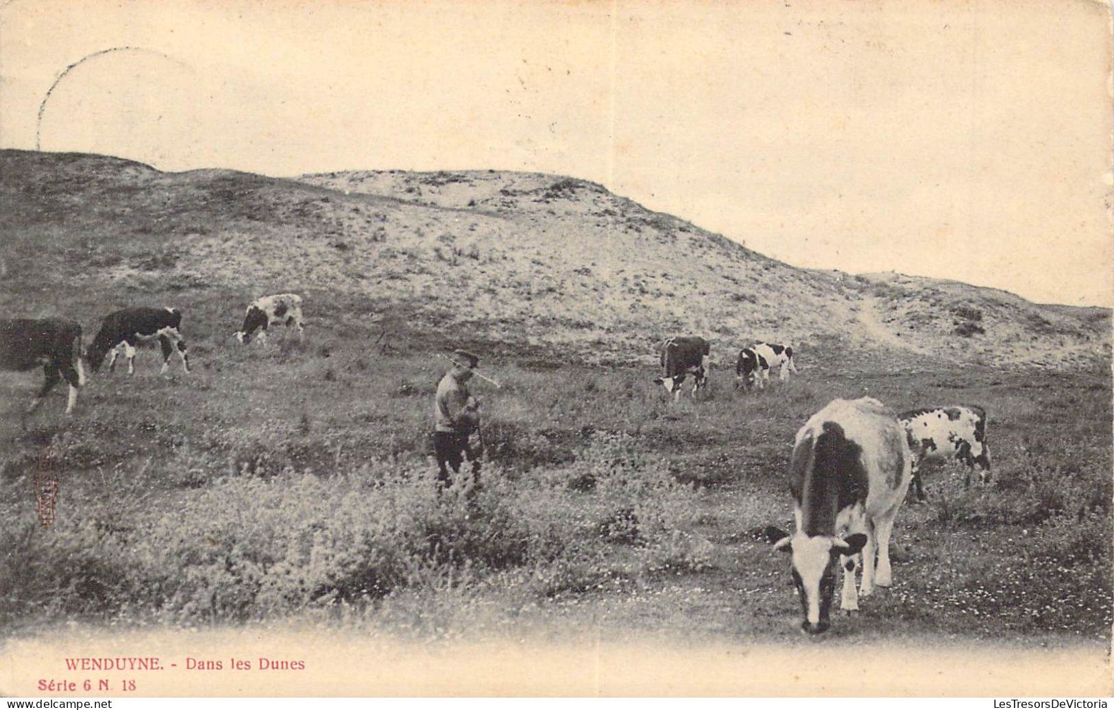 BELGIQUE - WENDUYNE - Dans Les Dunes - Carte Postale Ancienne - Wenduine