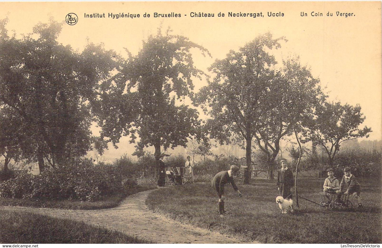 BELGIQUE - BRUXELLES - Institut Hygiénique - Château De Neckersgat - Un Coin De Verger - Carte Postale Ancienne - Autres & Non Classés