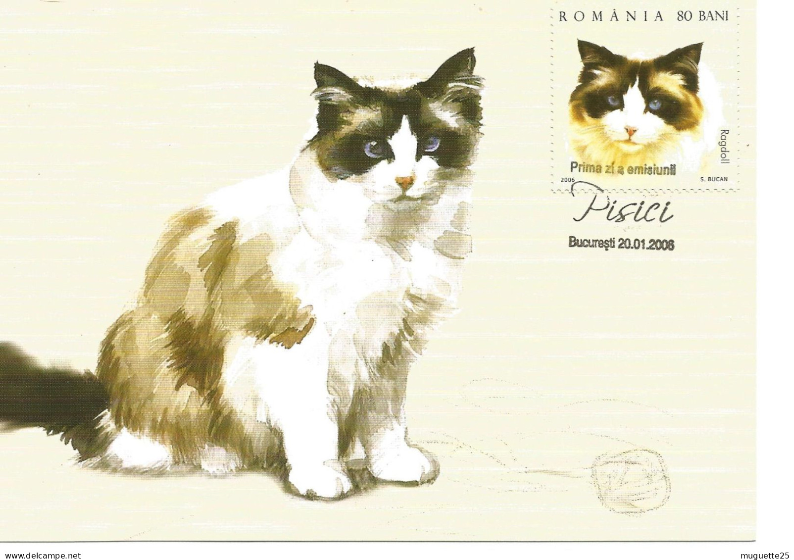 Carte Maximun- Chat- Ragdoll- Roumanie -2006 - Maximumkarten (MC)