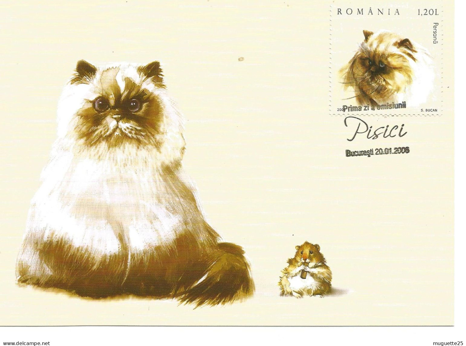 Carte Maximun- Chat- Persan- Roumanie -2006 - Maximum Cards & Covers