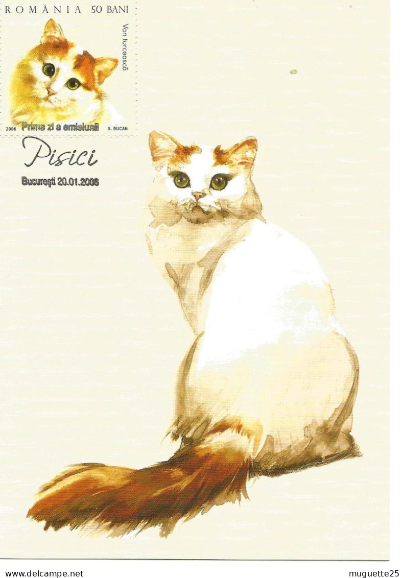 Carte Maximun- Chat- Van Turck- Roumanie -2006 - Maximum Cards & Covers