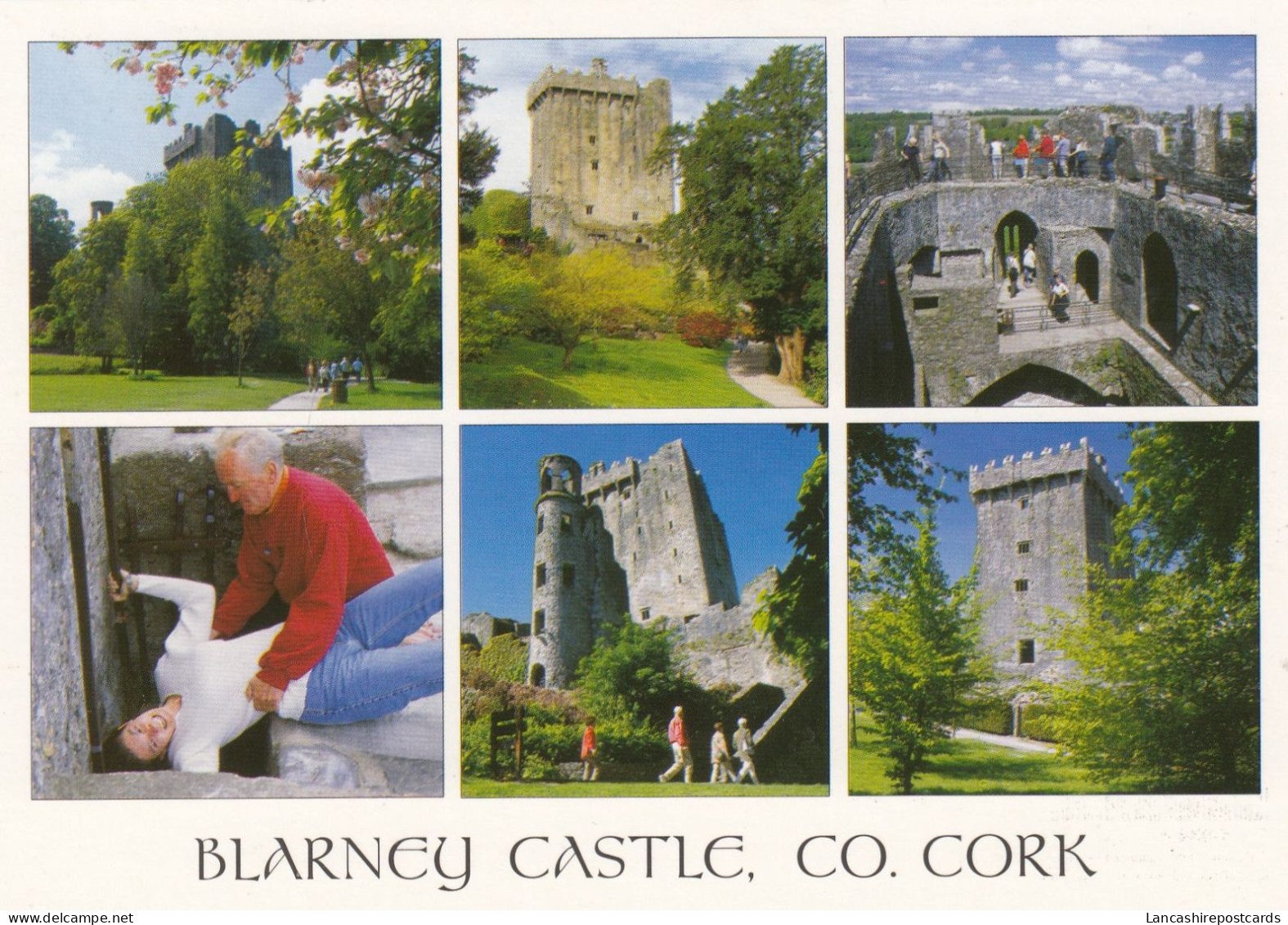 Postcard Blarney Castle Co Cork Ireland [ John Hinde ] My Ref B26202 - Cork