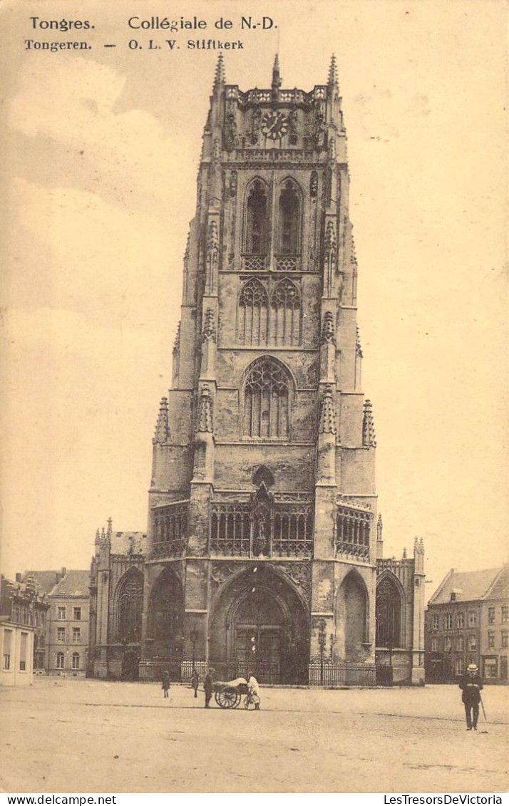 BELGIQUE - TONGRES - Collégiale De Notre Dame - Carte Postale Ancienne - Tongeren