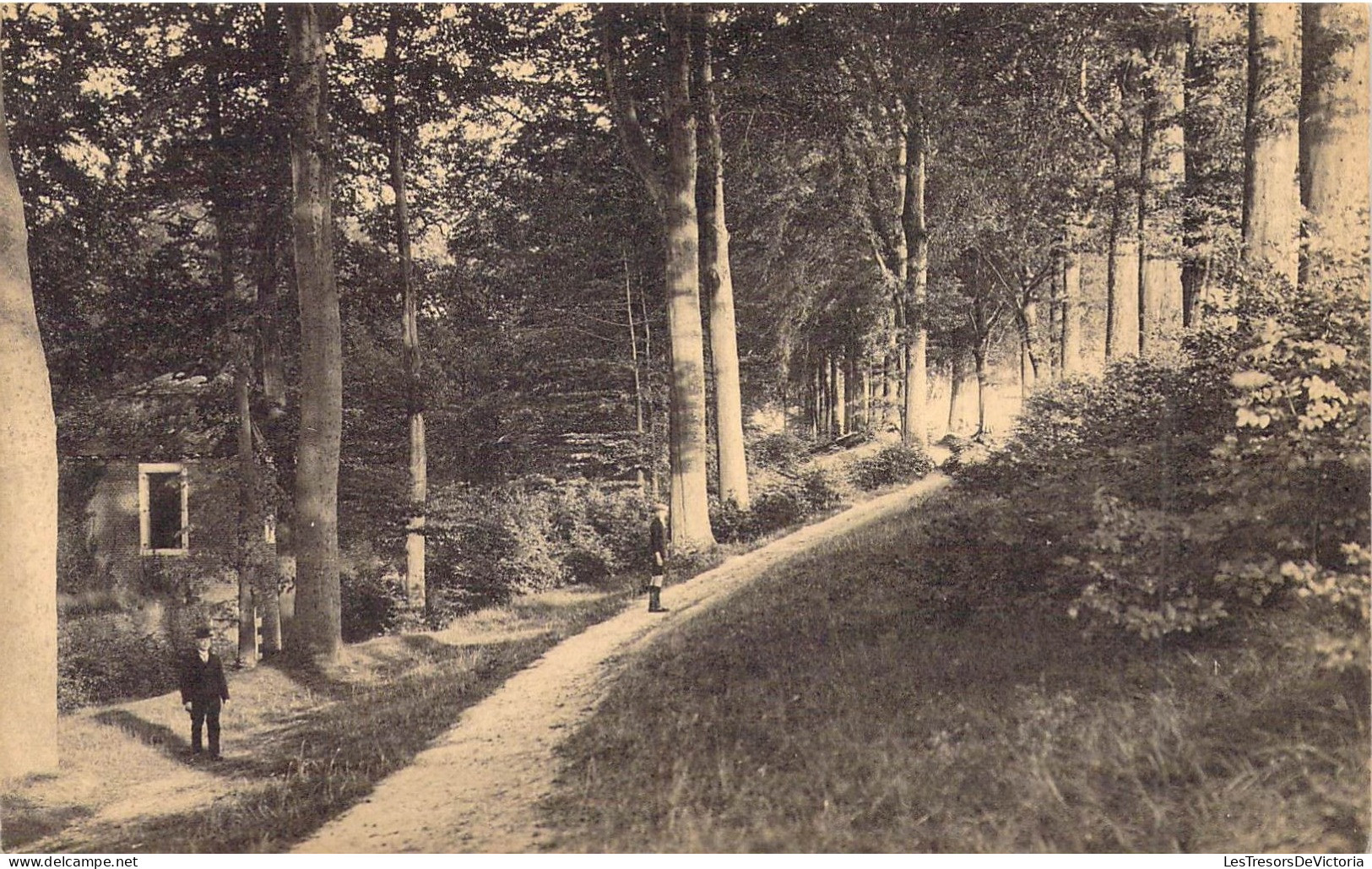 BELGIQUE - TONGRES - Promenade Du Beukenberg - Carte Postale Ancienne - Tongeren