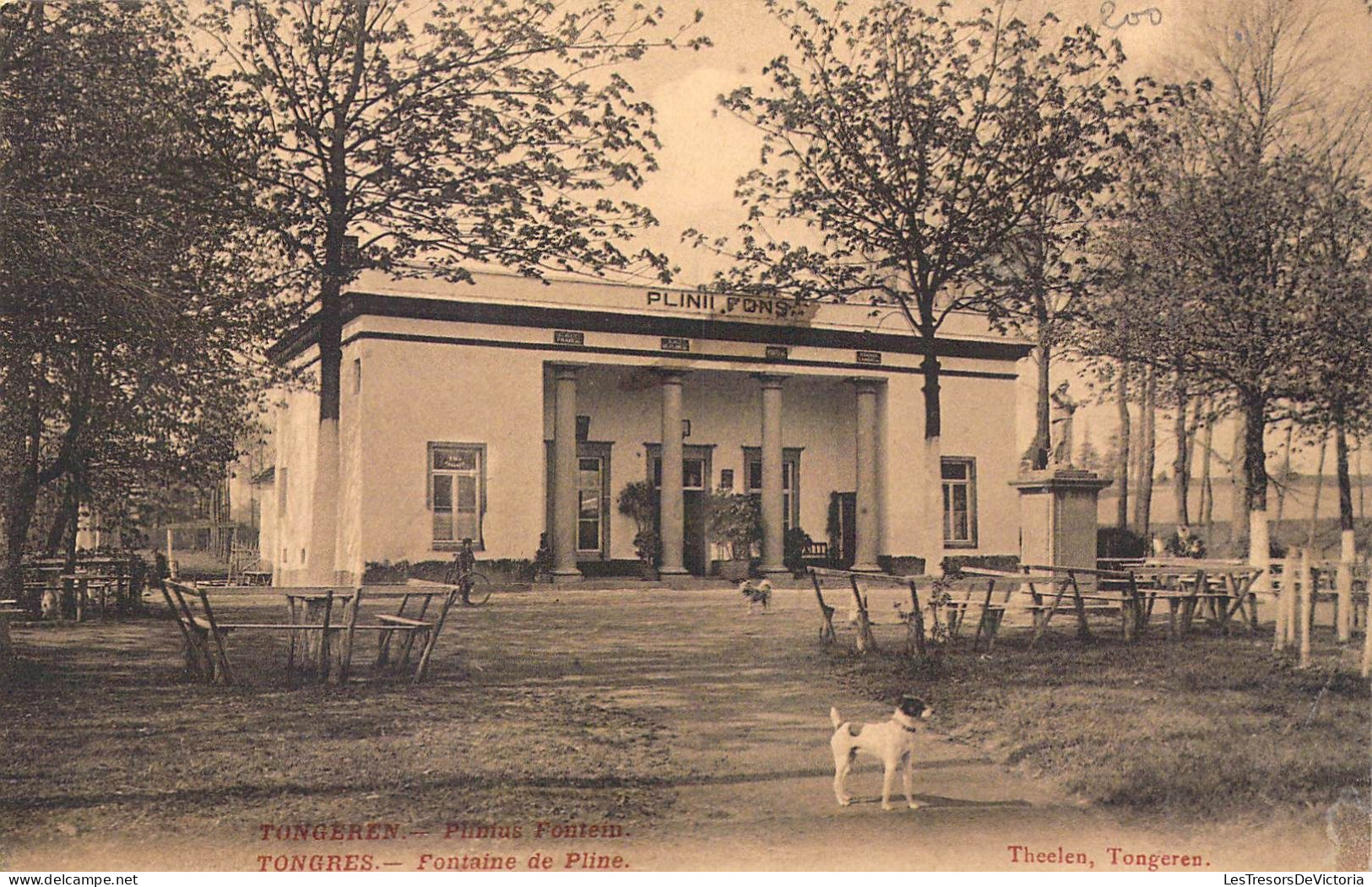 BELGIQUE - TONGRES - Fontaine De Pline - Carte Postale Ancienne - Tongeren