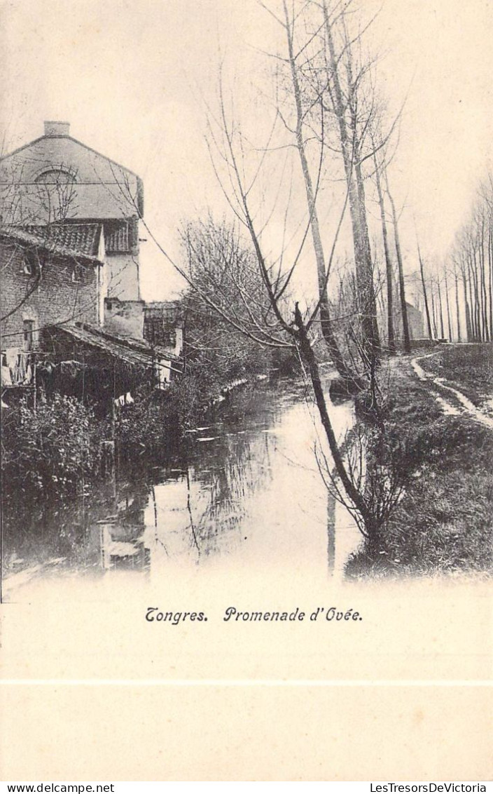 BELGIQUE - TONGRES - Promenade D'Ovée - Carte Postale Ancienne - Tongeren