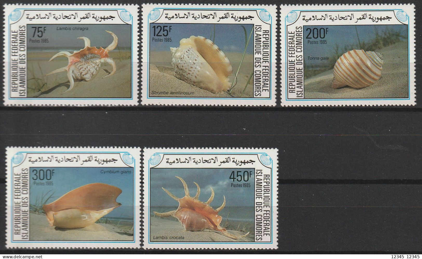 Comoren 1985, Postfris MNH, Shells - Comores (1975-...)