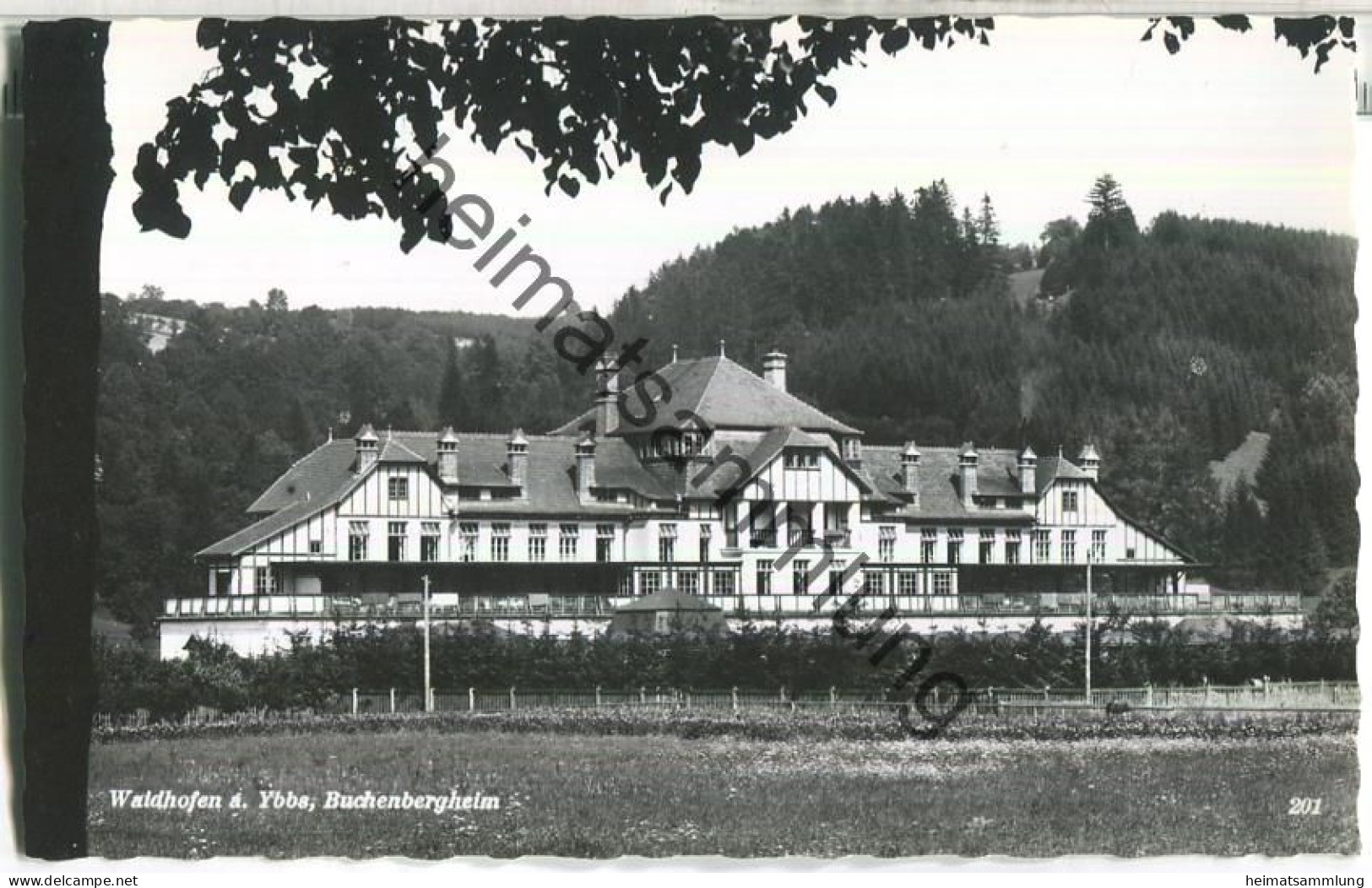 Waidhofen An Der Ybbs - Buchenbergheim - Foto-Ansichtskarte - Verlag Karl Dittrich Waidhofen - Waidhofen An Der Ybbs