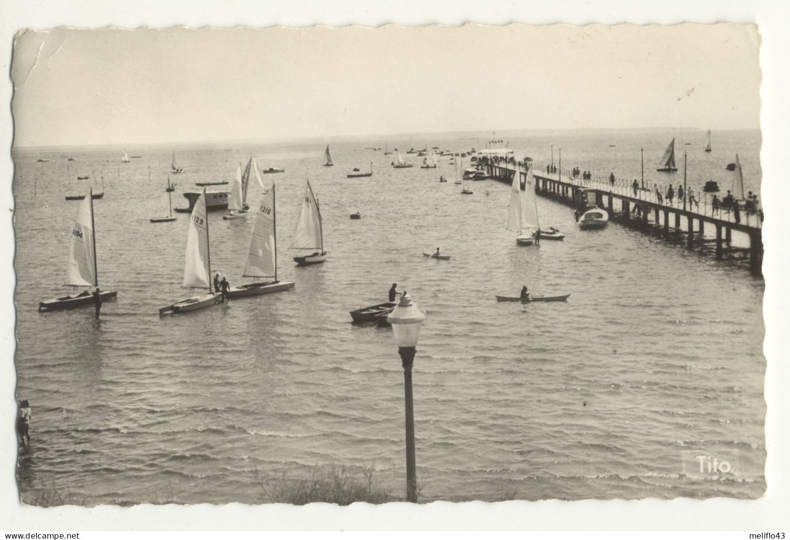 33/ CPSM - Andernos Les Bains - La Jetée. MArée Haute - Andernos-les-Bains