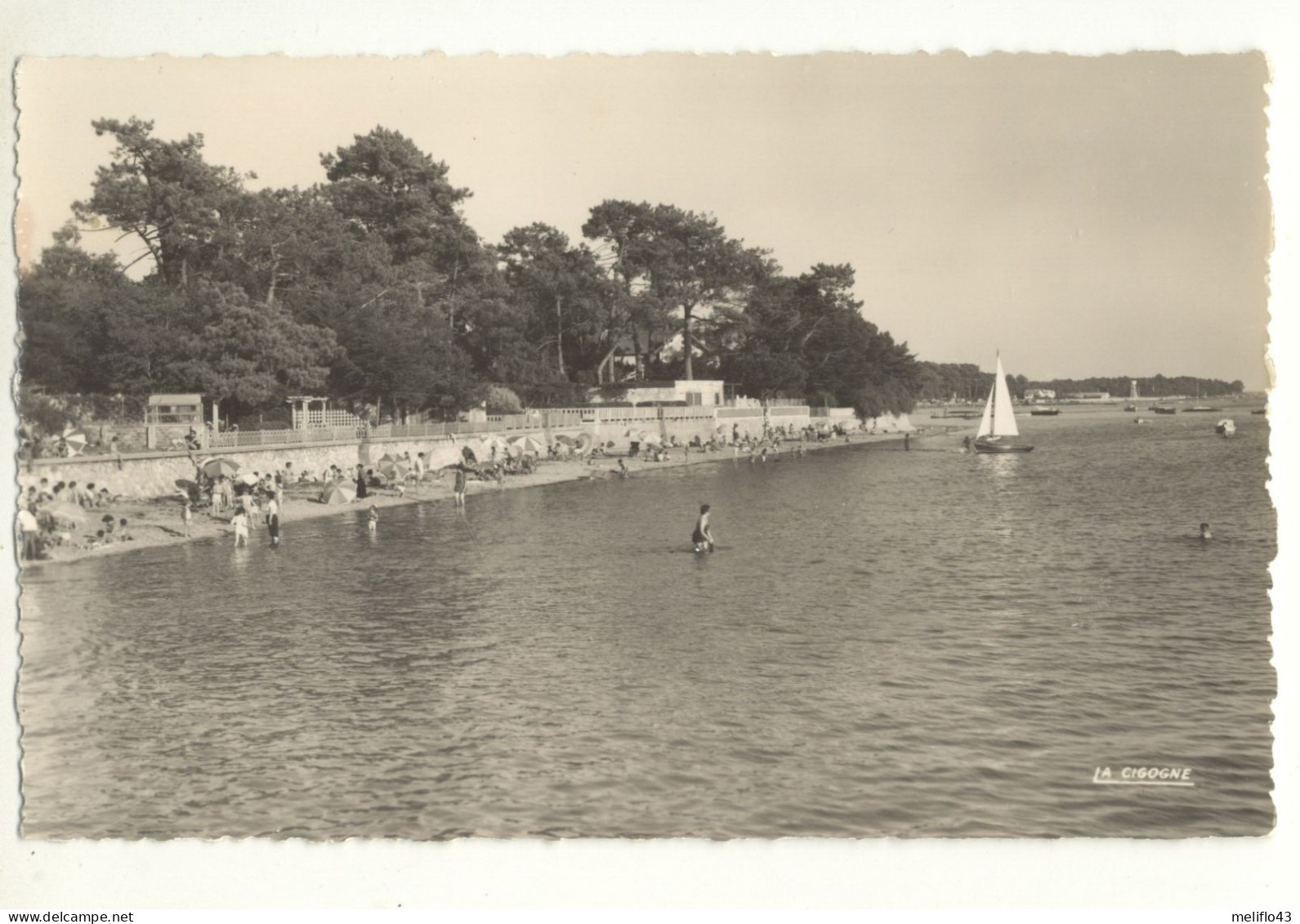 33/ CPSM - Andernos - La Plage - Andernos-les-Bains