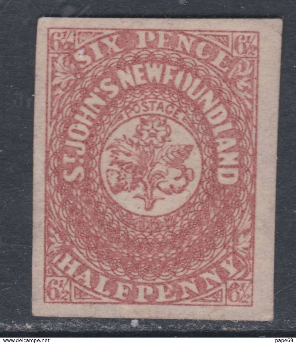 Terre-Neuve N° 17 (.)  Couronne Royale Et Fleurs Héraldiques : 6 1/2 P. Carmin Neuf Sans Gomme Sinon TB - 1857-1861