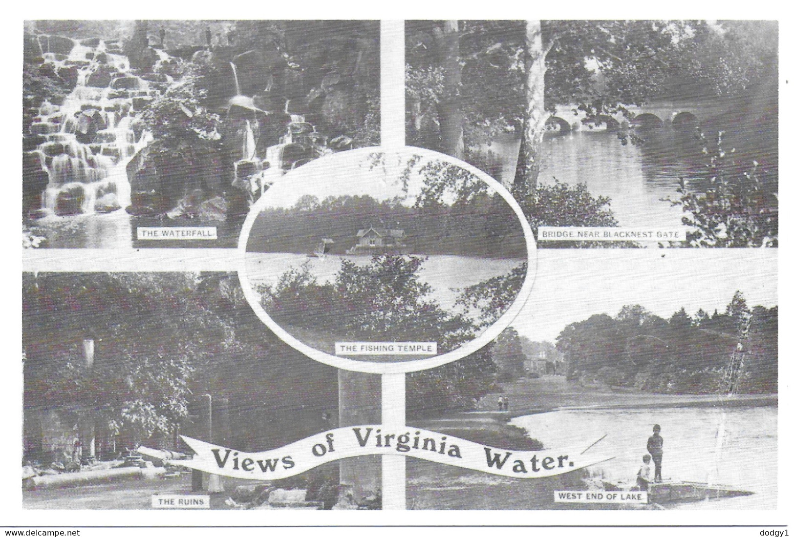 REPRODUCTION CARD. SCENES FROM VIRGINIA WATER, SURREY, ENGLAND. UNUSED POSTCARD   Sa7 - Surrey