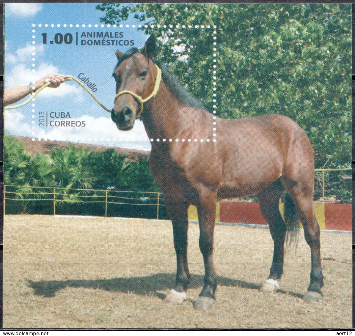 2013, Cuba, Domestic Animals, Animals, Horses, Mammals, Souvenir Sheet, MNH(**), CU BL297 - Usati