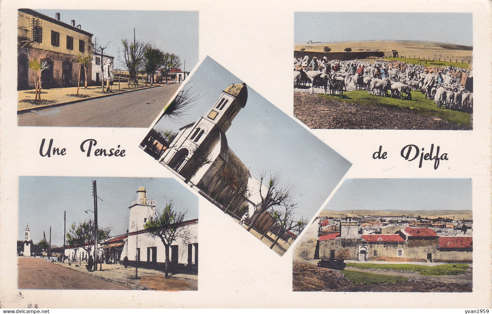 COURRIER 1958 - Djelfa