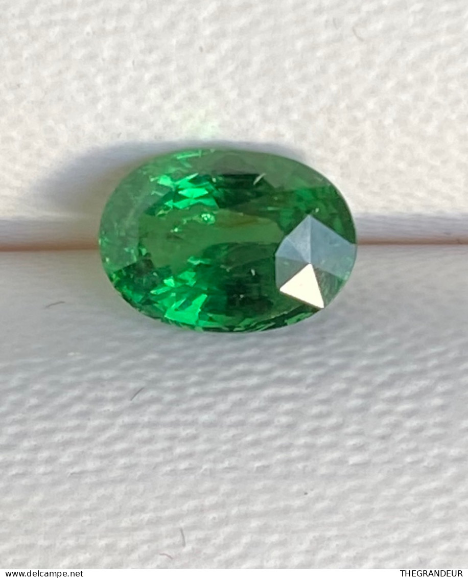TSAVORITE GREEN 1,18 Karat - Loose Gemstone - Unclassified
