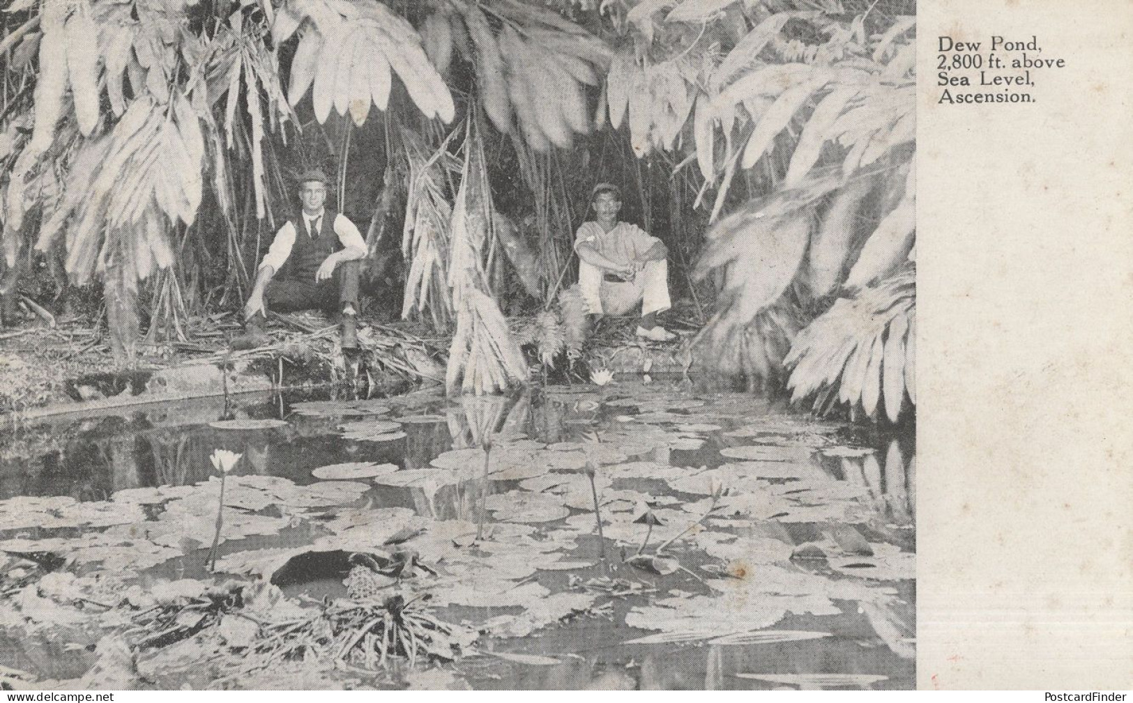 Explorers Resting At Dew Pond Saint Helena Ascension Island Old Postcard - Sint-Helena
