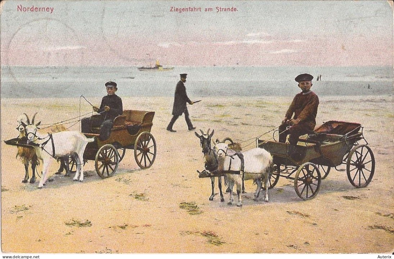 Allemagne - Norderney - Ziegenhirt Am Strandeleben Goat Cart Ziege - Norderney