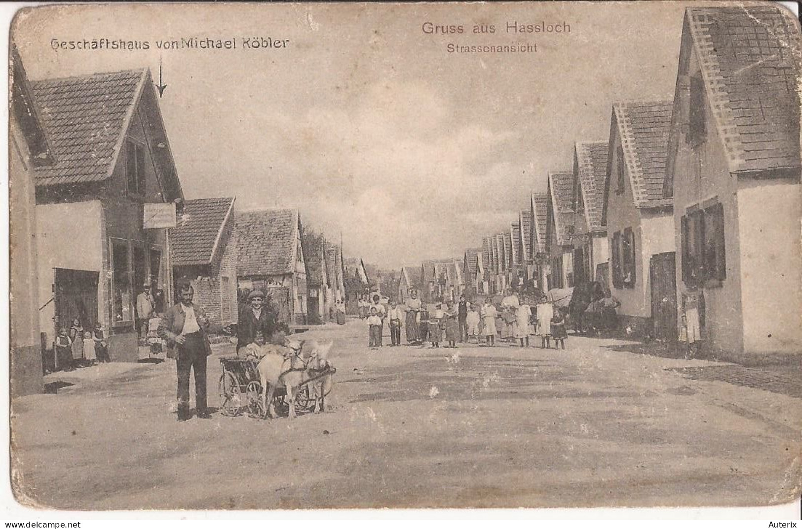 Allemagne - Hassloch - Gruss Aus - Strassenansicht - Geschaftshaus Von Michael Köbler Goat Cart Ziege - Hassloch