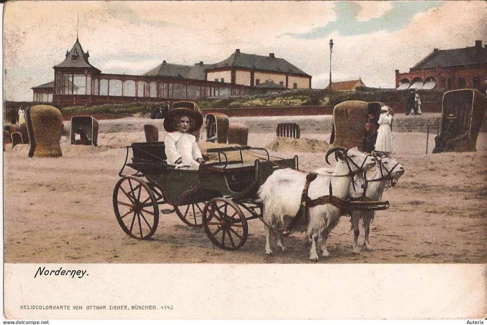 Allemagne - Norderney Goat Cart Ziege - Norderney