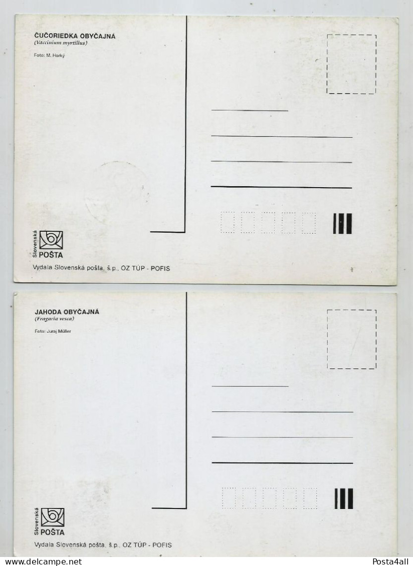 Slovakia  - 2000 The Forest Fruits   - Flora -  2 Maximum Cards - Lettres & Documents