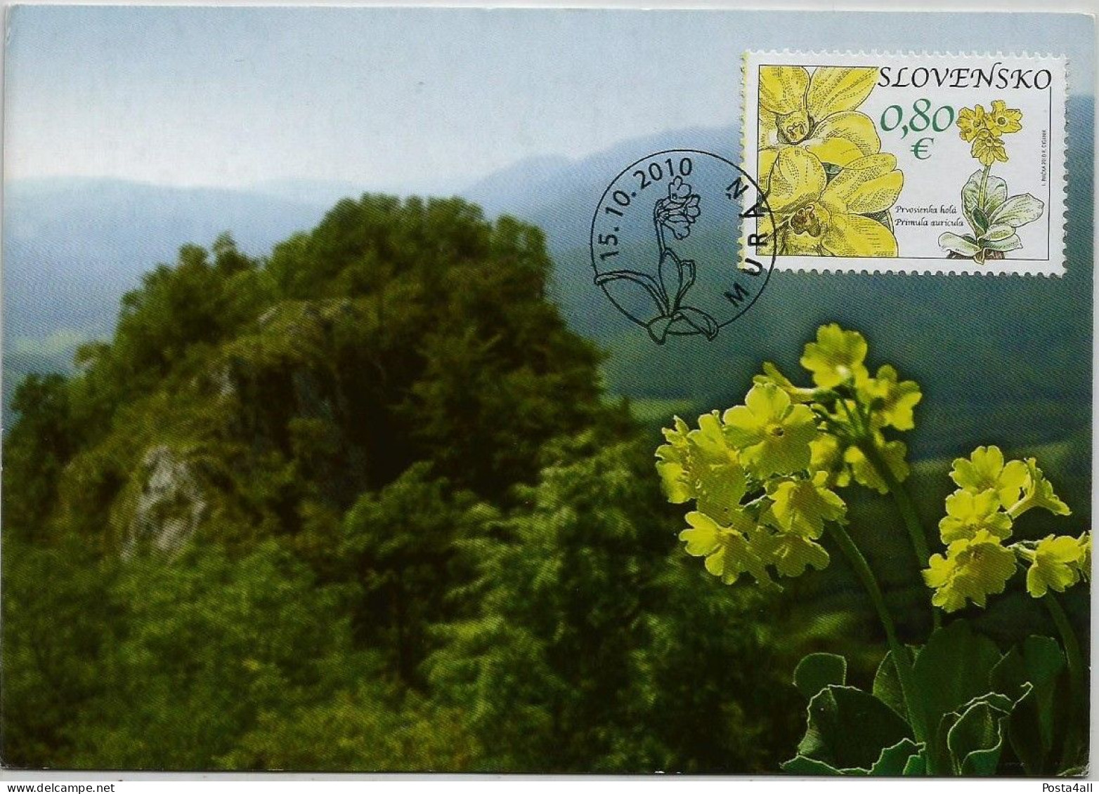 Slovakia  - 2010 Flowers From The Muranska Plain - Flora  -   Maximum Card - Storia Postale