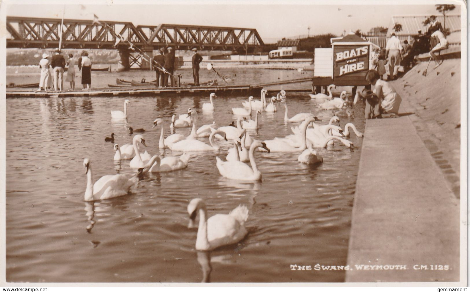 WEYMOUTH  - THE SWANS - Weymouth