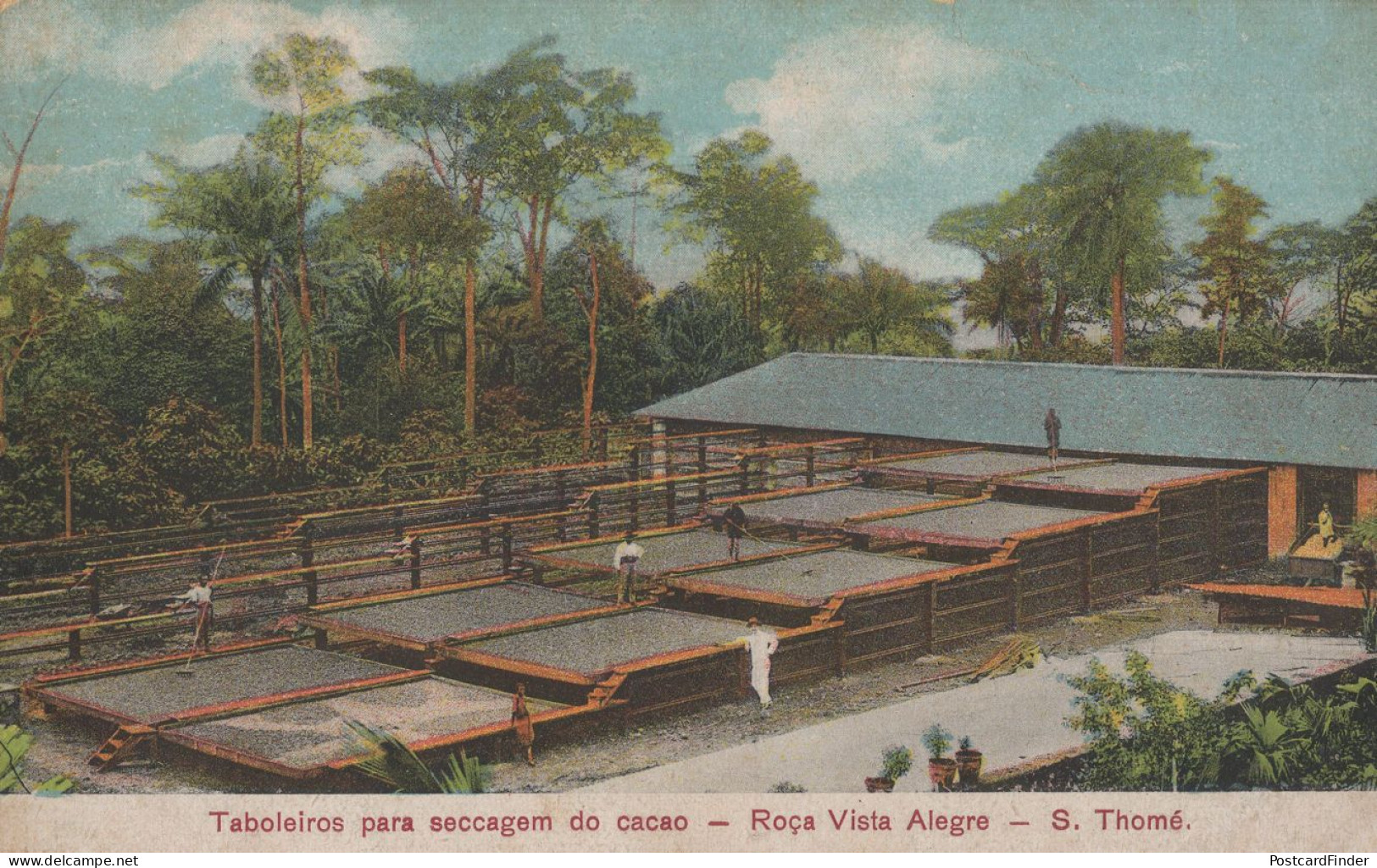 Sao Thome Tome Roca Vista Alegre Tabaleros Old Postcard - Santo Tomé Y Príncipe