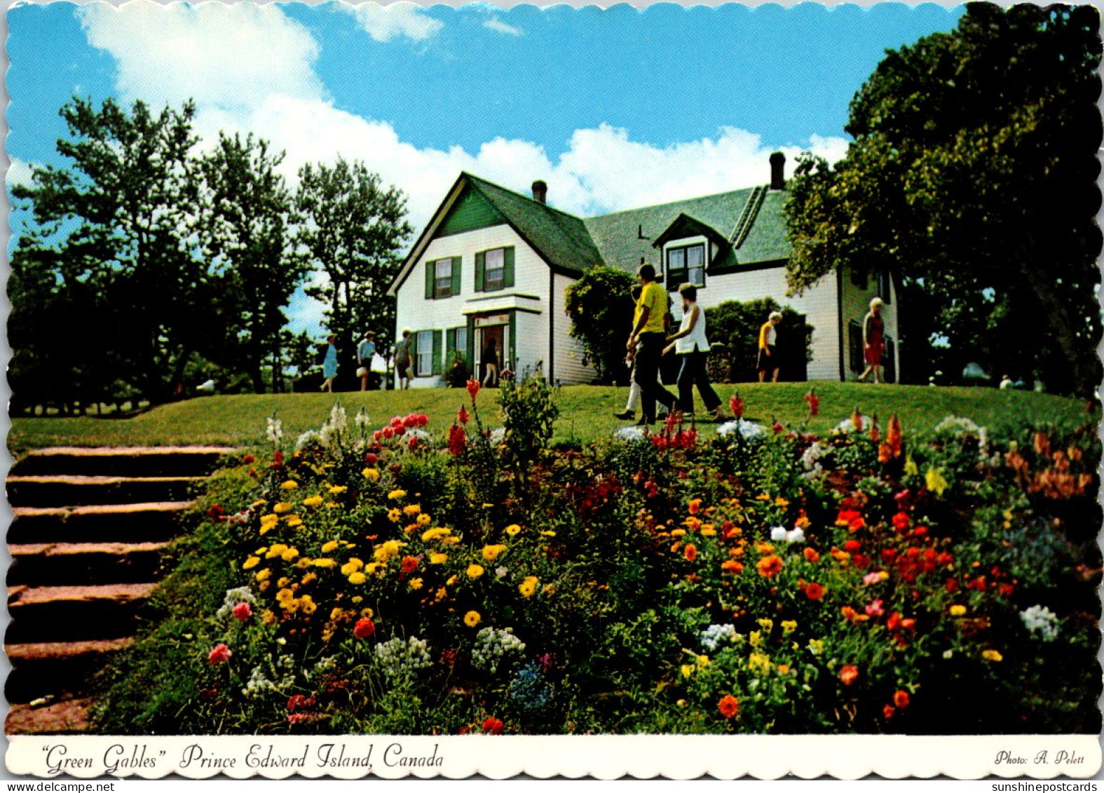 Canada Prince Edward Island Cavendish "Green Gables" - Other & Unclassified