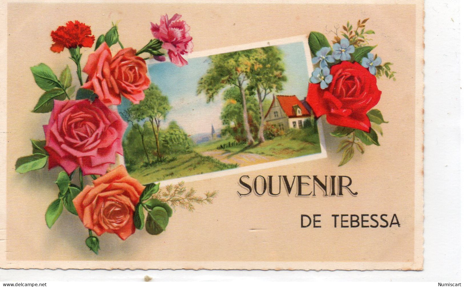 Tébessa Fantaisie "Souvenir De Tébessa" Fleurs Roses - Tebessa