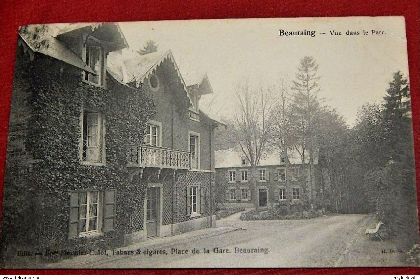 BEAURAING -   Vue Dans Le Parc      -   1907   - - Beauraing