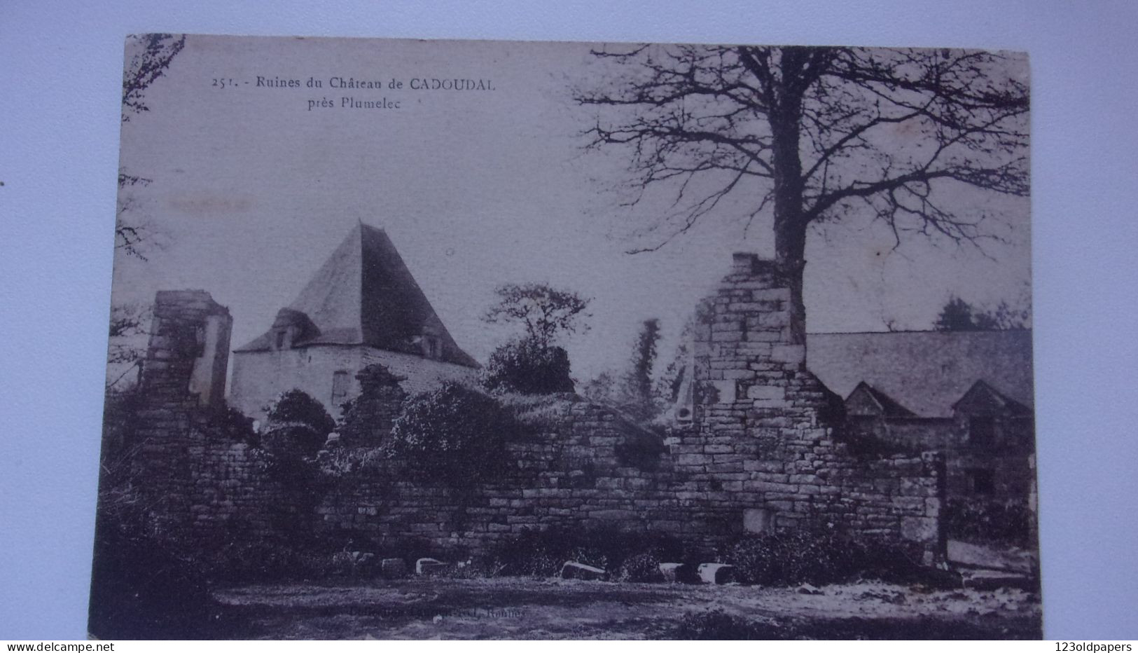 56 RUINES DU CHATEAU DE CADOUAL PRES  PLUMELEC - Autres & Non Classés