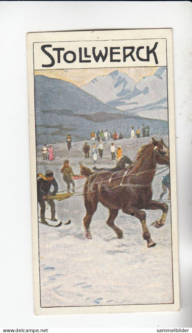 Stollwerck Album No 15 Wintersport Auf Den Schi Mit Vorspann   Grp 567#3 Von 1915 - Stollwerck