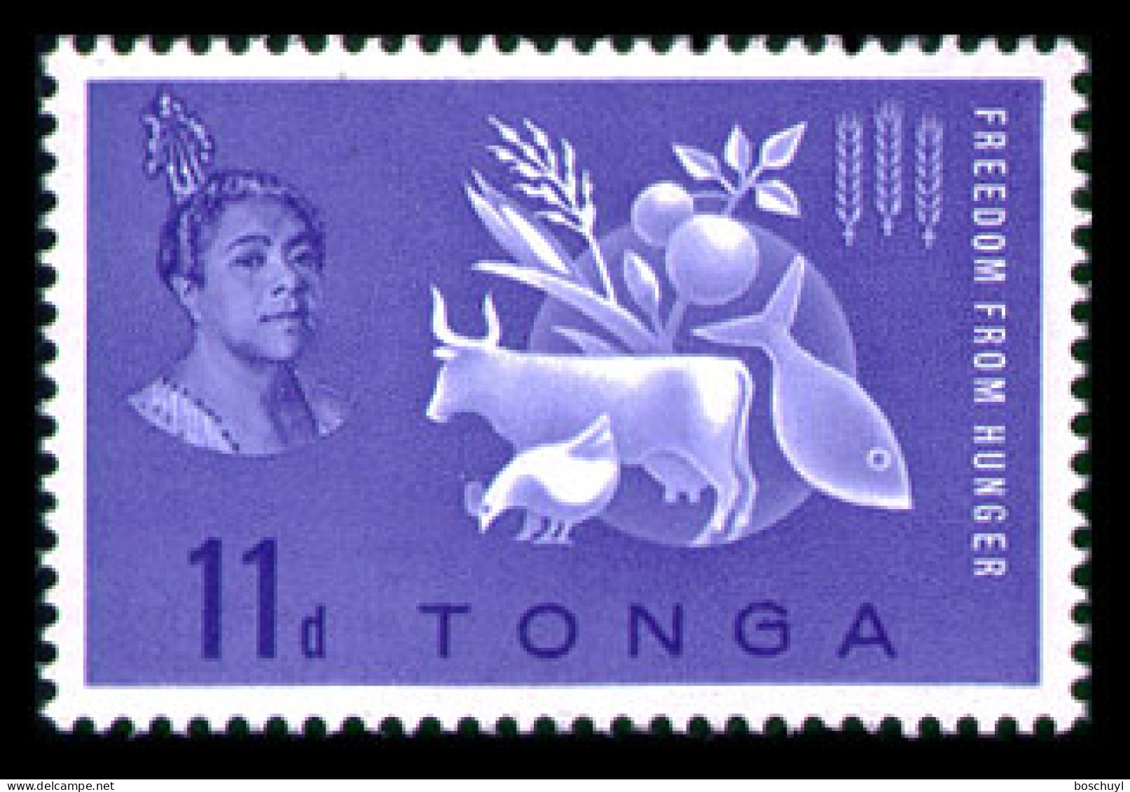 Tonga, 1963, Freedom From Hunger, FAO, Food And Agricultural Organization, United Nations, MNH, Michel 127 - Tonga (...-1970)