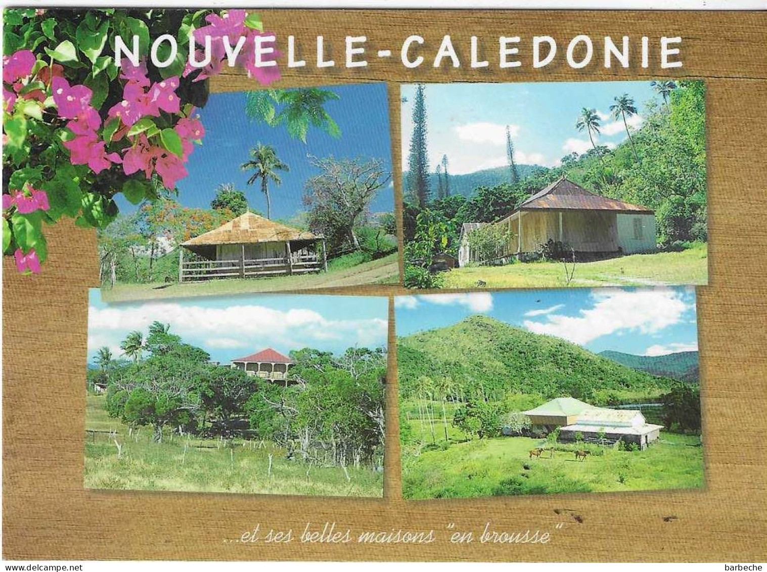 NOUVELLE CALEDONIE ,- Et Ses Belles Maisons En Brousse - Nouvelle Calédonie
