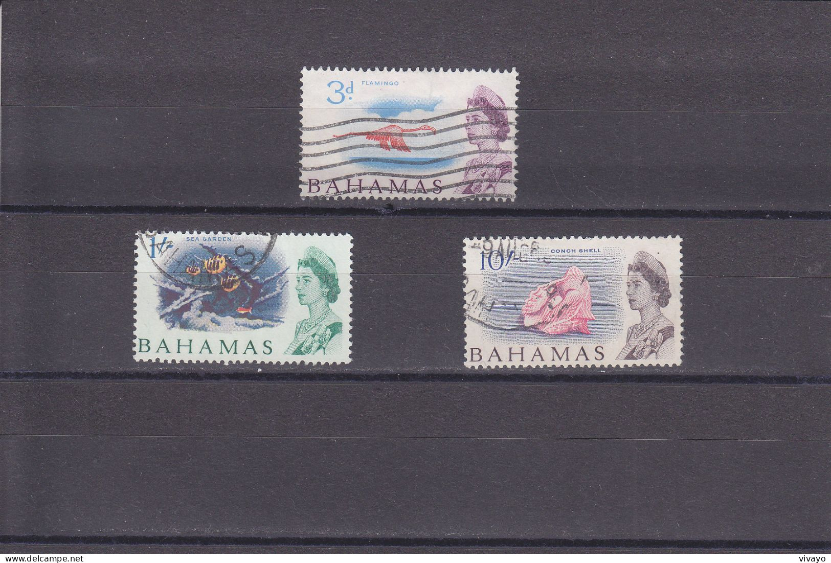 BAHAMAS - 1965 - O/FINE CANCELLED -  QEII & FLAMINGOS, SEA GARDEN, SHELL   Yv. 197, 202, 206   Mi. 213, 218, 222 - 1963-1973 Interne Autonomie