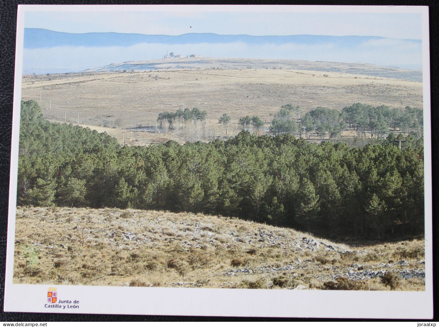 SORIA. Museo Numantino. Arqueología.N15 .Vista General De Numancia. - Soria